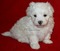 Click to view classifieds KRZJHSBU
