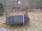 Click to view classifieds EBQQNLNO
