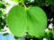 Click to view classifieds YORJBJXU