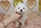 Click to view classifieds XVKNBSQG