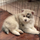 Click to view classifieds LFBATVQW