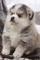 Click to view classifieds QCSFUBXN