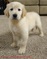 Click to view classifieds SMTWERAN