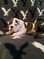 Click to view classifieds WVAEPDAA