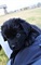 Click to view classifieds WPWYCSGB