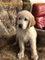 Click to view classifieds ATYPBXFT