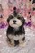Click to view classifieds RQVVURXF