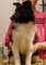 Click to view classifieds AUCRMAHD