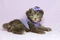 Click to view classifieds YVOBMTET