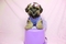 Click to view classifieds HZUEMMQQ