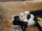 Click to view classifieds FFXNZENQ