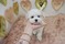 Click to view classifieds KPLTZMBR