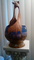 Click to view classifieds ODNJEZWO
