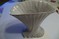 Click to view classifieds MRQWDPFX