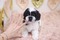 Click to view classifieds OYCUPMKJ