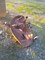 Click to view classifieds GDHTSOBH