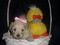 Click to view classifieds SODGOWSB