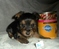 Click to view classifieds AXDBZBVQ