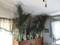 Click to view classifieds XLQWHMVL