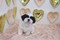 Click to view classifieds GZLTSNEH