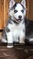 Click to view classifieds BZJHUCBY
