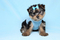 Click to view classifieds SVGTKMTE