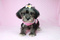 Click to view classifieds AYRWZPZF