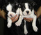 Click to view classifieds HLQKSMUG