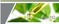 Click to view classifieds HKSDYFKZ