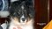 Click to view classifieds ENTCZSBG
