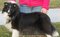 Click to view classifieds FXOASWMM