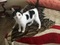 Click to view classifieds BRUYVTXV