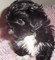 Click to view classifieds XRAHSXLT
