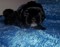 Click to view classifieds JLLDXDRO