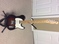 Click to view classifieds XTXZXDYR
