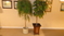 Click to view classifieds ETBQONVG