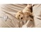 Click to view classifieds YQMSXTYD