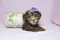 Click to view classifieds KFUGMCDN