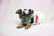 Click to view classifieds DXFGSDBS