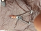 Click to view classifieds FCMBAWDN