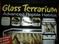 Click to view classifieds LOOXLUGX