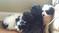 Click to view classifieds ADJTGAEN