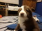 Click to view classifieds DVFXSFTH
