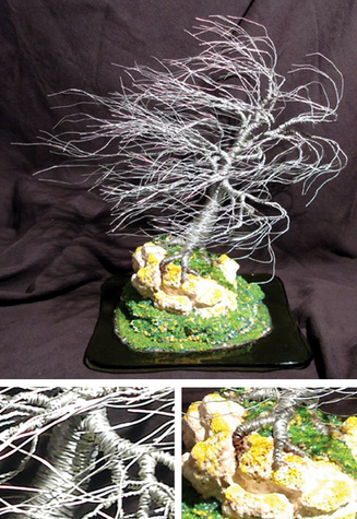 Coral Wind Swept