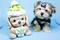 Click to view classifieds BBSTYYNV