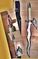Click to view classifieds ULEXHOMJ