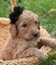 Click to view classifieds SKCBUYYD
