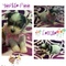 Click to view classifieds OPPADCUQ
