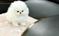 Click to view classifieds VWBSHSBQ