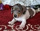 Click to view classifieds GZRUDFHN